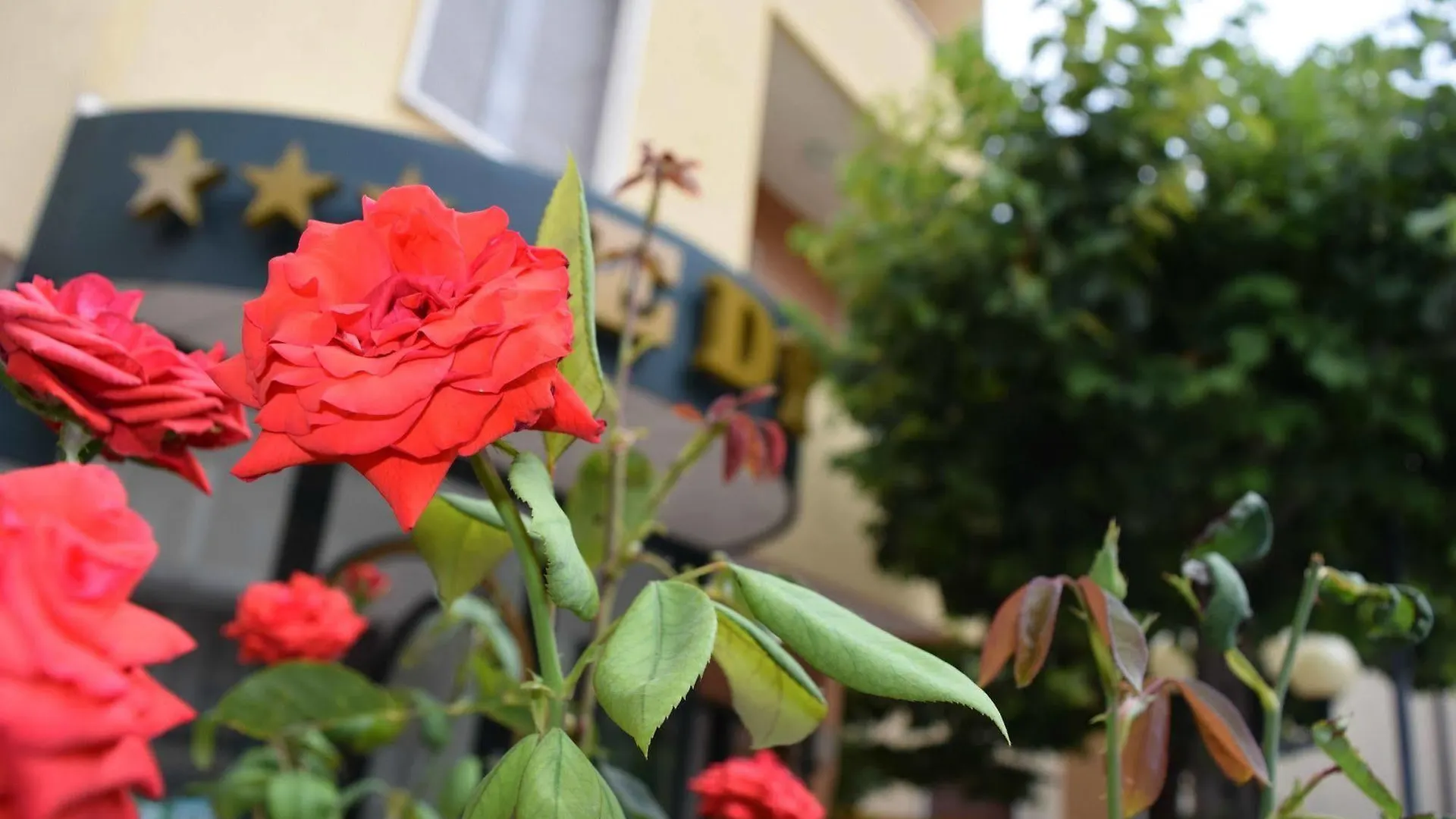 Eco-Hotel Edy Chianciano Terme